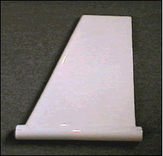 Fin